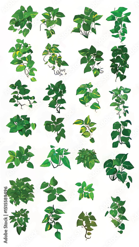 Vibrant Green Leaves: Botanical Illustration of Tropical Houseplants in Lush Arrangements for Eco-Friendly and Sustainable Decor Vibrant Green Leaves: Botanical Illustration of Tropical Houseplants in Lush Arrangements for Eco-Friendly and Sustainable Decor