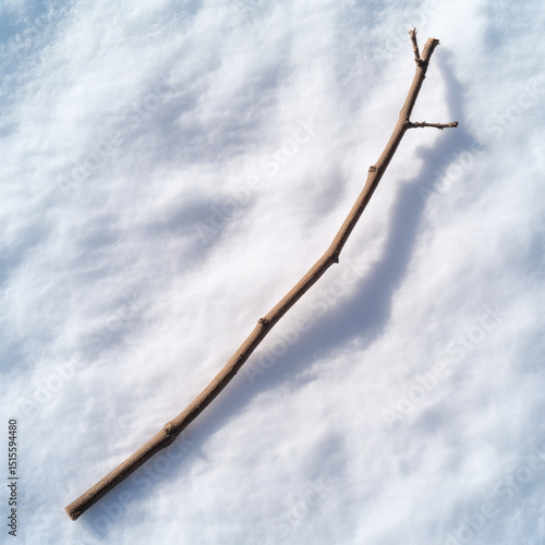 Dry twig casting long shadow on fresh white snow surface under sunlight in a peaceful winter landscape