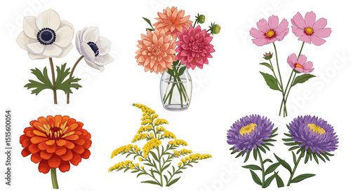 Assorted floral arrangement featuring anemones dahlias cosmos zinnias goldenrod and asters on white background