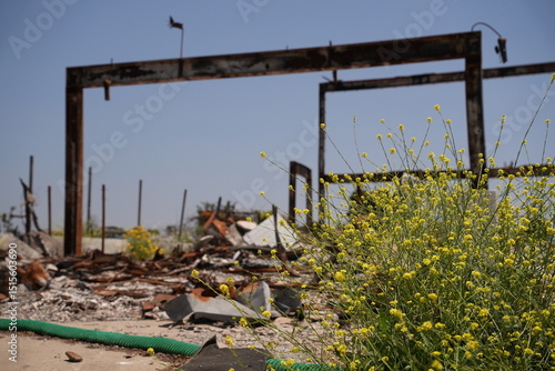 Pacific Palisades fire damage