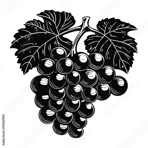 Silhouette of a grape cluster hanging from a vine, with rounded grapes and curling leaves, creating a bold, elegant shape against a plain background.
