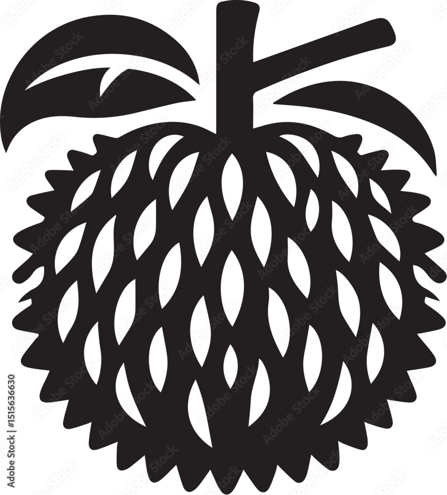 Obraz premium Simple marang fruit vector illustration