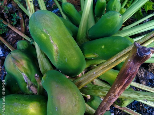 green and yellow banana