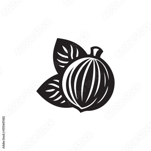 Fresh nutmeg vector on white background. Nutmeg with leaf icon