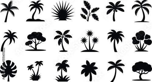 Collection of black silhouette tropical palm trees and plants in a simple minimalist style for graphic design projects