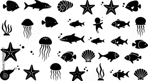 starfish silhouette set,sea fish silhouette bundle
