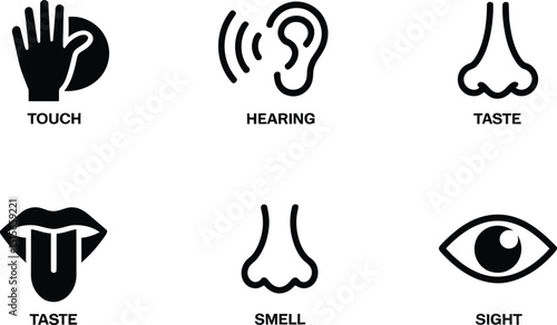 Simple and clean black and white icons representing human senses visual aids for educational and informational content