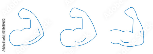 Muscle liner icon. bicep icon.