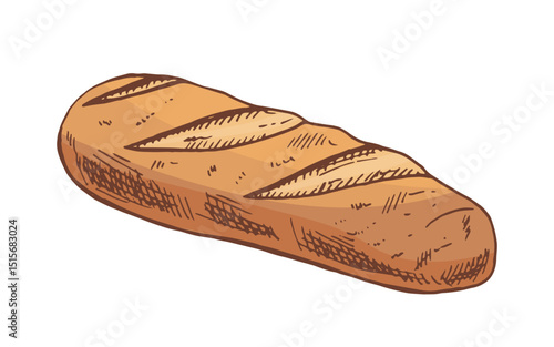Hand drawn vintage sketch of crusty baguette bread loaf in color engraving style, isolated vector illustration