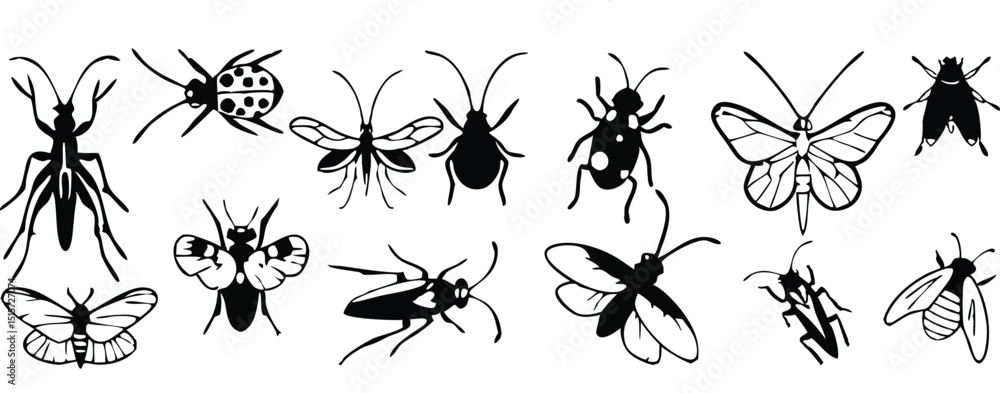 Fotografia lack insect vector set silhouette pattern