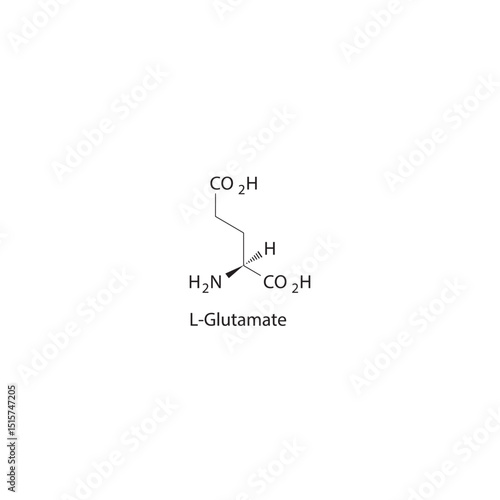 L-Glutamate skeletal formula. Excitatory neurotransmitter compound chemical structure. Simple schematic illustration.