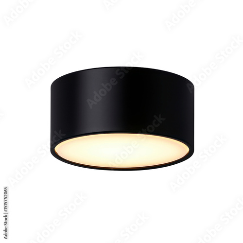 Modern black ceiling light fixture for ambient lighting.