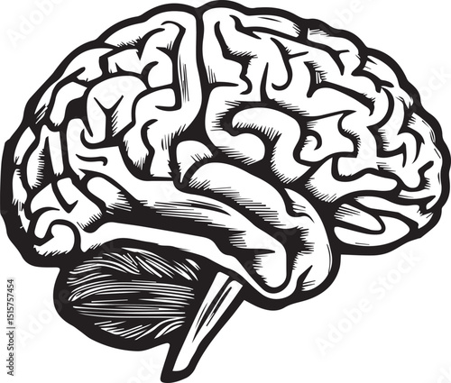 Illustrated Vector Cartoon of Human Brain Sketch