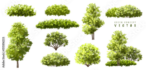  Vector watercolor green  tree or forest side view isolated on white background for landscape and architecture drawing,elements for environment or and garden,Shrub for section