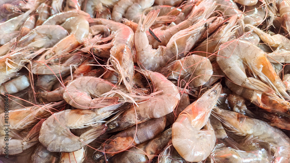 Small prawn, shrimp,har chye or kullan sell in the market Small prawn, shrimp,har chye or kullan sell in the market