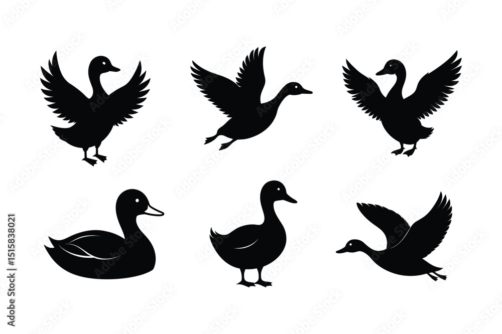 Obraz premium Duck vector silhouette, Set of Duck silhouette vector 