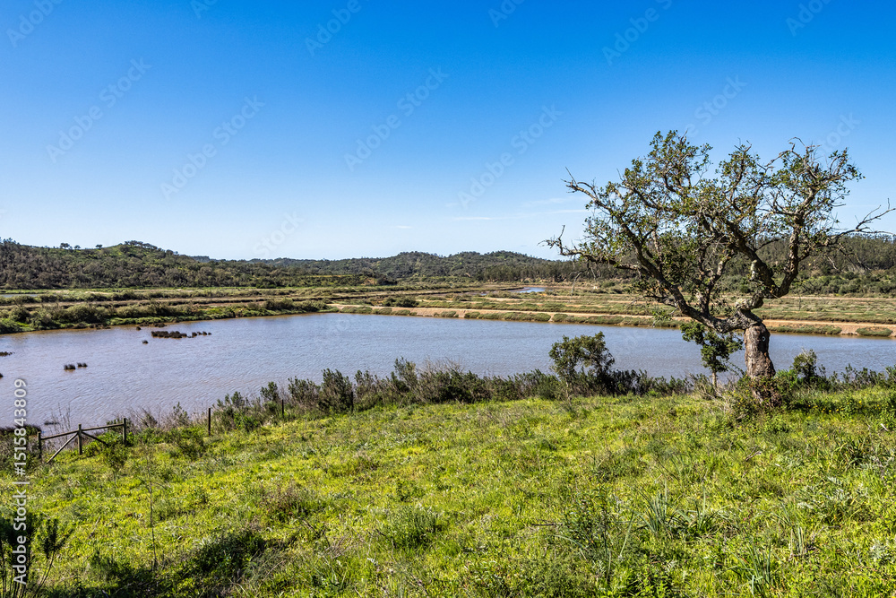 Fototapeta premium Walking from Troviscais to the River Mira, Vicentine Coast Natural Park Portugal, Rota Vicentina Coast.