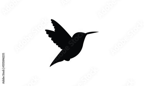 Flying Allen's hummingbird Silhouette Design  And Vector Illustration. 