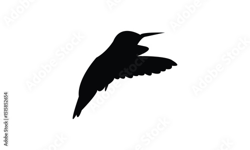 Flying Allen's hummingbird Silhouette Design  And Vector Illustration. 