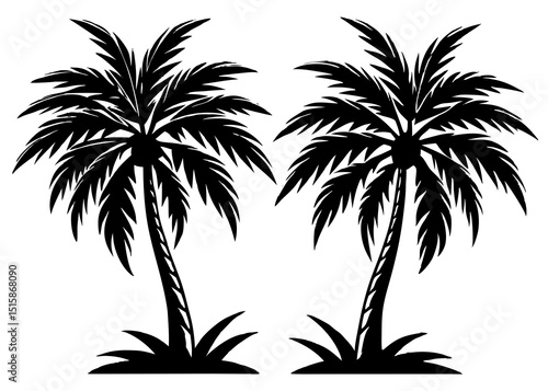 palm tree silhouettes