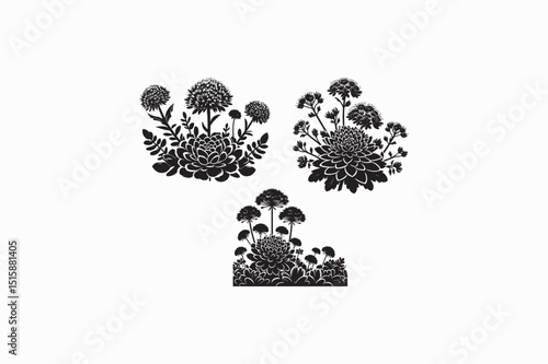 Sedum flower vector silhouettes image made by adobe illustrator. eps