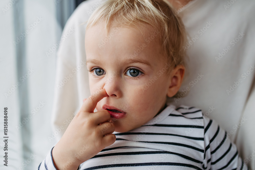 Fotografie Toddler picking nose while sitting on parent's lap.