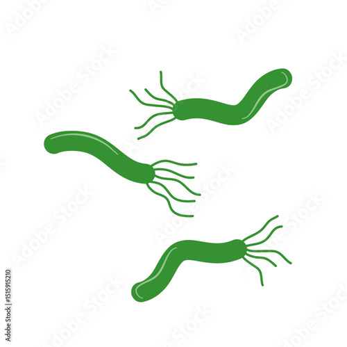 Helicobacter Pylori Illustration