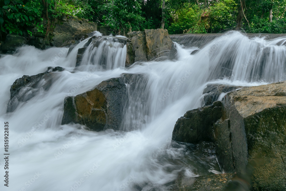 Obraz premium River in tropical forest