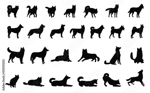 Set of Siberian Husky silhouettes in different poses, isolated background. Vector illustration.