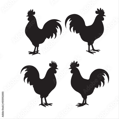 silhouette rooster
