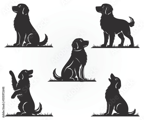 
hunting dog vector illustration, silhouette of duck hunting dog  graphic arts