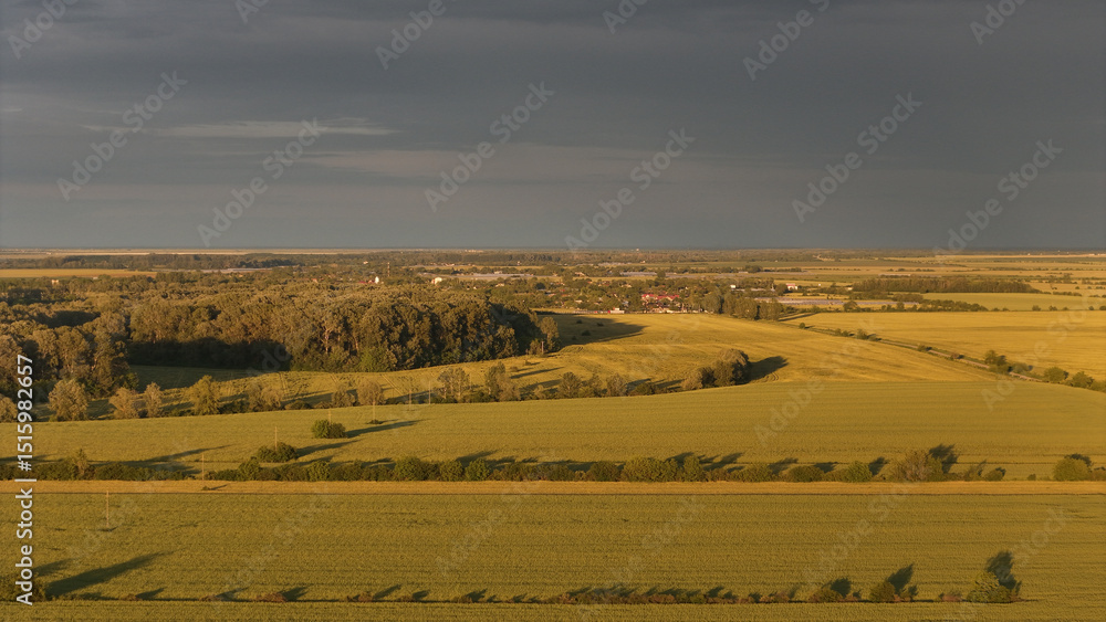 Obraz premium Golden Fields of Gherghița. An aerial view showcases the expansive golden fields in Gherghița, Prahova County, Romania. The vibrant yellow crops, likely rapeseed, stretch under a cloudy sky.