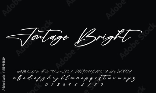 Hand drawn vector alphabet. Modern monoline signature script font. Elegant Signature Font. Best Alphabet Beautiful Calligraphy Signature Font 