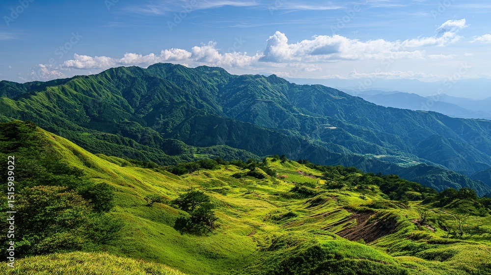 Fototapeta premium The wide-angle lens captures the lush meadows stretching out into the mountains in the distance under a clear sky, a picturesque natural landscape that is perfect for travel media.