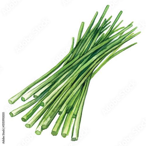 Watercolor depiction of fresh chives vibrant green detailed and textured