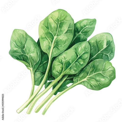 Watercolor depiction of fresh spinach leaves vibrant green hues