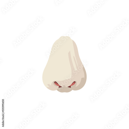 Isolated illustration of a cartoon nose on a white background