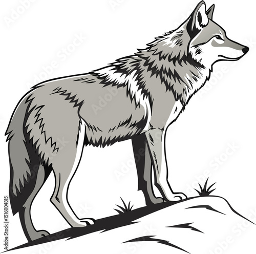 wolf  isolated on transparent background 