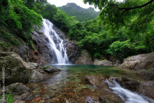 Waterfall cascades into a serene pool surrounded by lush greenery in a vibrant rainforest setting