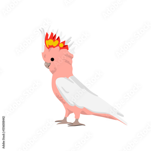 Exotic cockatoo. Cute tropical parrot. Funny amusing jungle bird.  Adorable feathered animal. Flat vector illustration isolated on white background
