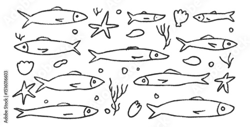 Fishes doodle set. Sardines hand drawn scribble School of fish in the sea. Vector monochrome nautical illustration by pencil aquarium on white background. Crayon or chalk naive underwater life.