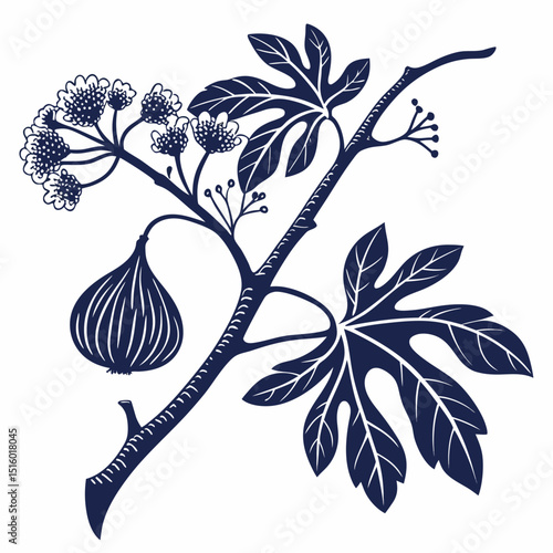 vector illustration of a branch of fig marigold