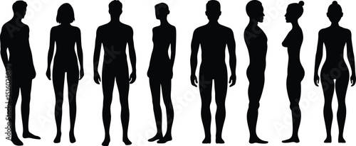 Male and Female Body Silhouette Vector Illustration