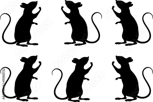 Six black silhouette rats standing on hind legs with tails on white background