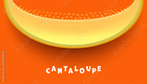Juicy cantaloupe slice vector with vivid pulp and playful text on bright orange background. Perfect for fruit packaging, summer prints, healthy snacks, or kids illustrations.