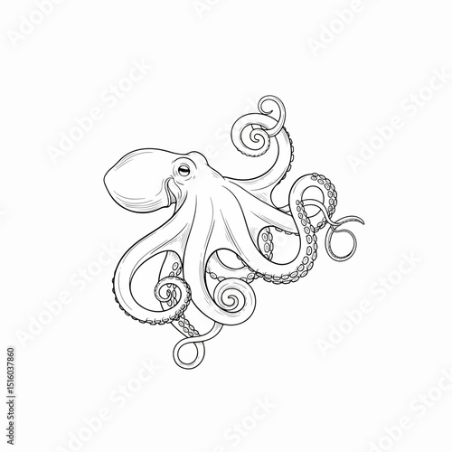 Octopus Illustration: A detailed illustration of an octopus. Showing the fascinating intelligence and unique characteristics of this marine creature. The perfect choice for artistic projects.