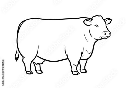 Fat cow drawing. It is a simple, black and white outline sketch of a plump cow, indicating a beef or dairy breed. Vector sketch line art draw.