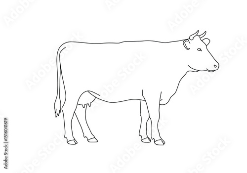 Cattle easy drawing. It is a simple, black and white outline sketch of a cow, suitable for easy drawing or coloring. Vector sketch line art draw.