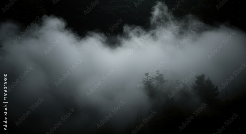 Fototapeta premium Mysterious foggy forest scene at dawn with dense mist and lush greenery
