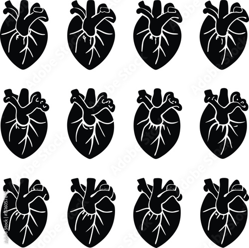 Twelve black and white anatomical illustrations of a human heart